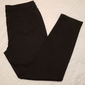 Buffalo by David Bitton Pants